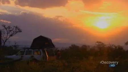 Discovery Channel - Austin Stevens Adventures: In the Shadow of Armoured Giants (2008)
