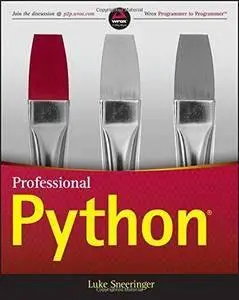 Professional Python