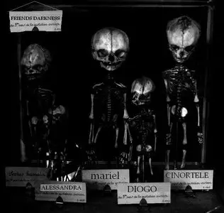 Cinortele - Friends Darkness