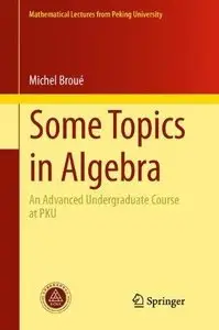 Some Topics in Algebra: An Advanced Undergraduate Course at PKU (repost)