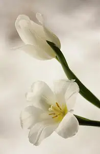 Фотограф Mycatherina Katka