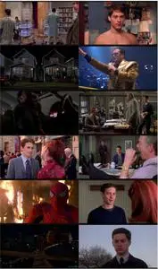 Spider-Man (2002) [w/Commentaries]