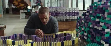 Beauté cachée / Collateral Beauty (2016)