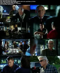 CSI: Crime Scene Investigation S12E08 "Crime After Crime"