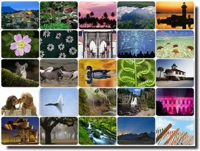 Webshots July 2011 Premium Collection