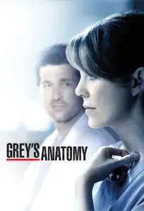 Grey's Anatomy S01-S11 (2005-2015)