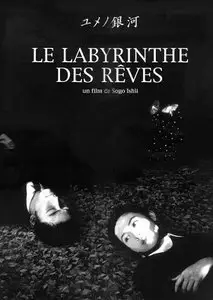 Labyrinth of Dreams / Le Labyrinthe des Rêves (1997)