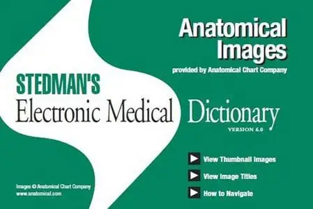 Stedman's Electronic Medical Dictionary 6.0