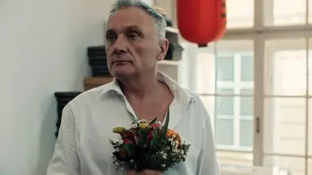 Vorstadtweiber S06E08