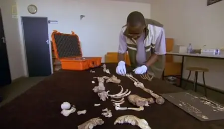 National Geographic - The Two-Million Year Old Boy (2012)