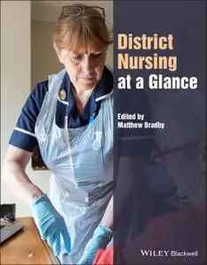 District Nursing at a Glance