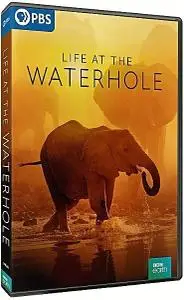 PBS-BBC EARTH - Life at the Waterhole: Series 1 (2021)