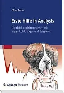 Erste Hilfe in Analysis: Überblick und Grundwissen mit vielen Abbildungen und Beispielen (Repost)