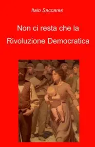 Non ci resta che la Rivoluzione Democratica