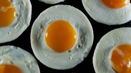 PBS - NATURE: The Egg: Life's Perfect Invention (2019)