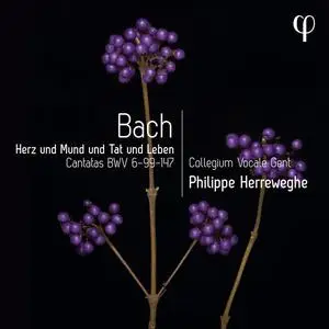 Collegium Vocale Gent & Philippe Herreweghe - Herz und Mund und Tat und Leben - Bach: Cantatas BWV 6-99-147 (2023)