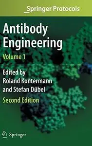 Antibody Engineering