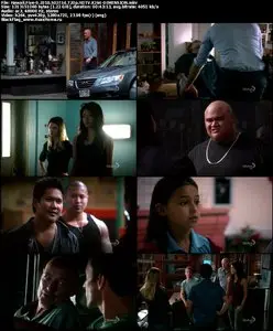 Hawaii Five-0 (2010) S02E14 "Pu’olo (The Package)"