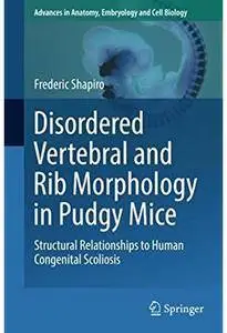 Disordered Vertebral and Rib Morphology in Pudgy Mice: Structural Relationships to Human Congenital Scoliosis [Repost]