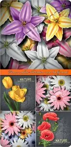 Flowers realistic illustration vector backgrounds