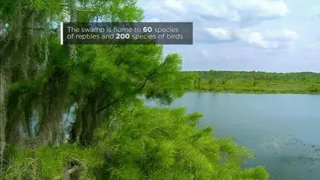 Journey with Dylan Dreyer S02E20