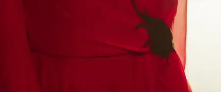 In Fabric (2019)