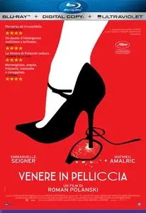 Venere in Pelliccia (2013)