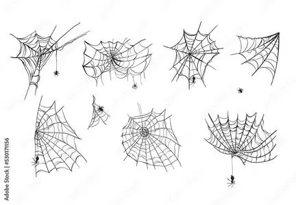 Spider Web Illustrations 530171156