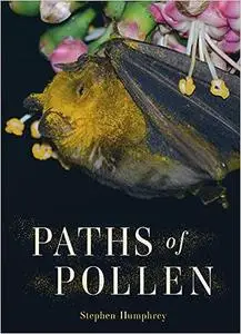 Paths of Pollen