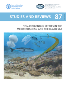 Non-indigenous Species in the Mediterranean and the Black Sea