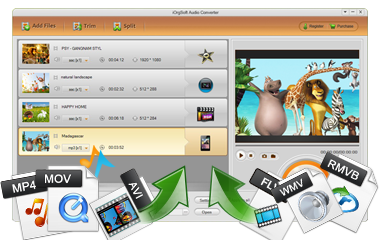 iOrgSoft MP3 Converter 5.2.3 Mac OS X