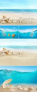 Stock Photo - Marine Backgrounds