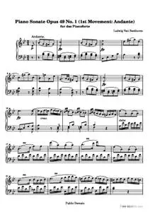 Sonata No. 19 (1st Movement: Andante)