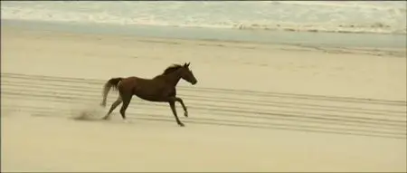 Ma Bonne Etoile (2012)