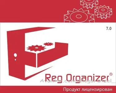 Reg Organizer 7.80 Portable