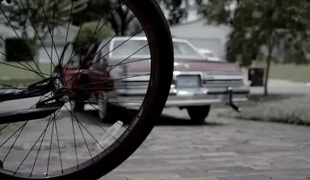 The Fear of 13 (2015)