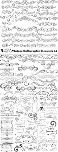 Vectors - Vintage Calligraphic Elements 14