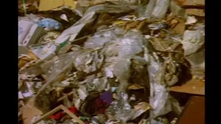 The Gerson Miracle (2004)