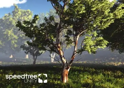 SpeedTree Unity Subscription 8.4.2