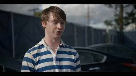 American Vandal S01 (2017)