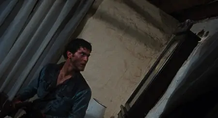 The Evil Dead (1981)