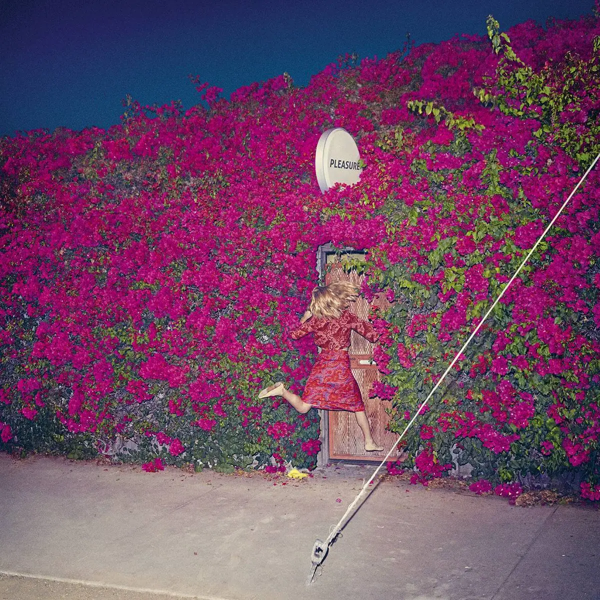 Feist - Pleasure (2017)