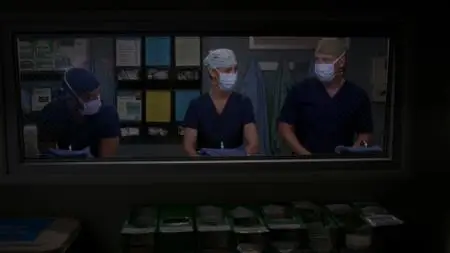 Grey's Anatomy S15E08