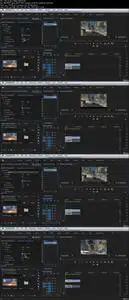 Video Editing Adobe Premiere Pro Complete Masterclass 2020 (8/2020)