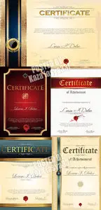 Certificate vector 36