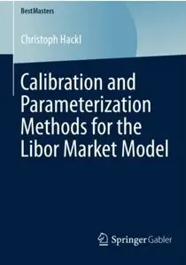 Calibration and Parameterization Methods for the Libor Market Model [Repost]