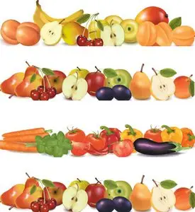 Food Design Vector Border