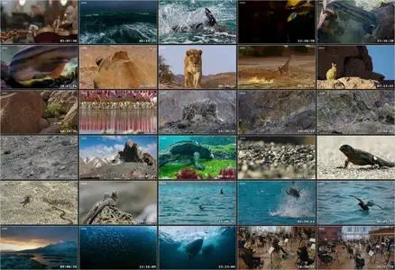 Planet Earth: A Celebration (2020)