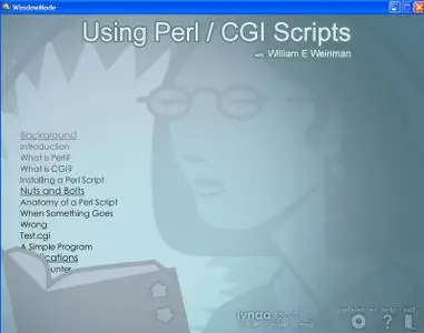 Using Perl/CGI Scripts