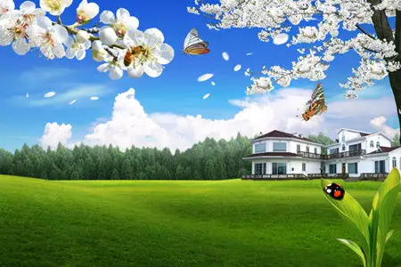 PSD templates - Nature 18